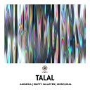 Talal - Amnesia CC1 Vocal Mix