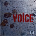 Platinum Monkeys - Voice Original Mix