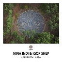 Nina Indi Igor Shep - Labyrinth