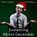 Dominic LaRocca - Something About December