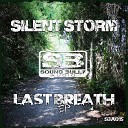 Silent Storm - Last Breath
