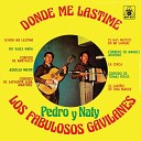 Pedro Y Naty Los Fabulosos Gavilanes - La Cerca