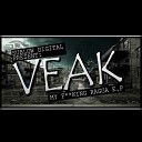 Veak - To The Point