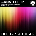 Tim Besamusca Phil Saatchi - Rainbow of Life