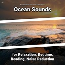 Shoreline Sounds Ocean Sounds Nature Sounds - Asmr Ambience for Your Body