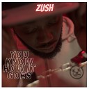 Zush - You Know How It Goes