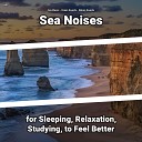 Sea Waves Ocean Sounds Nature Sounds - Water Sounds to Relax Your Body