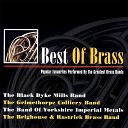 The Brighouse and Rastrick Brass Band - Don t It Make My Brown Eyes Blue