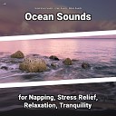 Ocean Waves Sounds Ocean Sounds Nature Sounds - Mantra Meditation