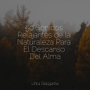Canciones De Cuna Para Dormir Bebes Medita o Maestro… - Melod a Del Agua