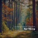 Zen Soothing Sounds of Nature - Woodland River