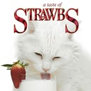 Strawbs - Not All the Flowers Grow