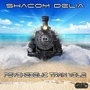 Shacom Delia - Dynamic Balance