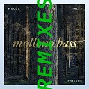 Mollono Bass Gorge - The Story of the Sad Clown Gorge Remix