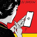 DJ Shadow feat Rockwell Knuckles Tef Poe… - Urgent Important Please Read