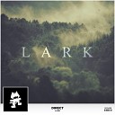 Direct - Lark Original Mix