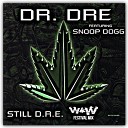 Dr Dre Snoop Dogg - Still Stanislav Shik Sad Panda Remix Promo…