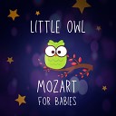 Little Owl - Piano Concerto No 21