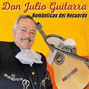 Don Julio Guitarra - El Ayudante