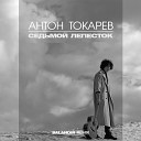 Антон Токарев - Седьмой Лепесток SAlANDIR Remix…