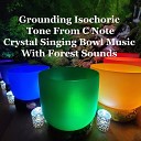 Ezra Alya - Grounding Isochoric Tone from C Note Crystal Singing Bowl Music With Forest…