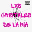 Miami Ken - Cristales de la Kia