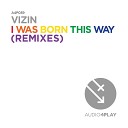 VIZIN - I Was Born This Way Ryan Skyy Remix Extended