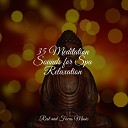 Chakra Meditation Universe Tranquil Music Sound of Nature Tinnitus… - Heavenly Snooze