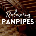 Panpipes Romantics - Wonderful Tonight