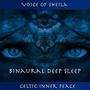 Celtic Inner Peace feat Big Jcs Sheila… - Deep Sleep Binaural Part 8 feat Big Jcs Sheila…