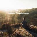 Mindfulness meditation v rlden - Sjungande sj l