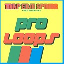 Patrick Seeker - Trap EDM Spring Beats 128 Tool 1