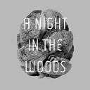 Tyler Friedman - A Night in the Woods Rivet Remix