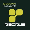 Moogwai - The Labyrinth Vicious Circles Remix