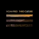 Noah Pred - All Alone
