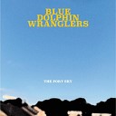 Blue Dolphin Wranglers - The Port Sky