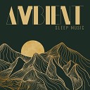 Sleeping Aid Music Lullabies - In the Wood