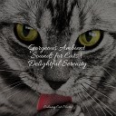 Music for Cats Project Jazz Music Therapy for… - Inner Calm
