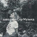 заводной Спа Музыка - Мечты Оздоровительный