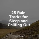 Ambient Nature Project Nature Sounds for Sleep and Relaxation The Rain… - Draining Rains
