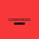 cardblansh - Сальмонелла