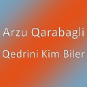 Arzu Qarabagli - Qedrini Kim Biler