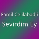 Famil Celilabadli - Sevirdim Ey