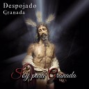 Despojado Granada - Perd nalos Se or