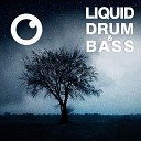 Dreazz - Liquid Drum Bass Sessions 60