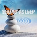 Elijah Wagner - Relaxing Zen Garden Soundscape Pt 12