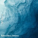 Steve Brassel - Natural Waves Ambience Pt 7