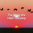 Bird Sounds - Nature Soundscapes Pt 30