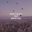 Ambient 11 - Sense of Clarity