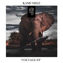 KAMUSHEZ - On the Move Original Mix